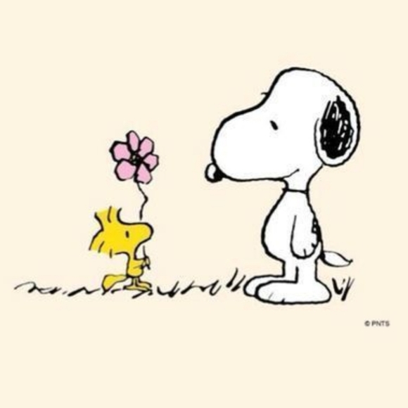 Meet your Posher, Cheryl - Picture 10 of 13